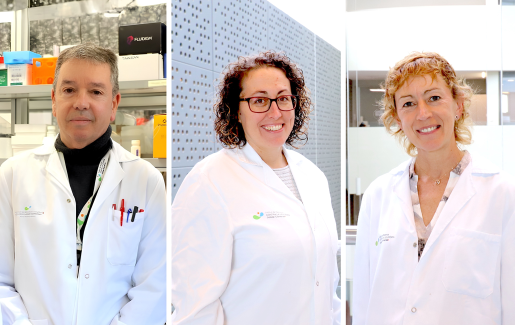 New Molecular Tool Transforms How Clinicians Classify and Treat a Rare Blood Cancer