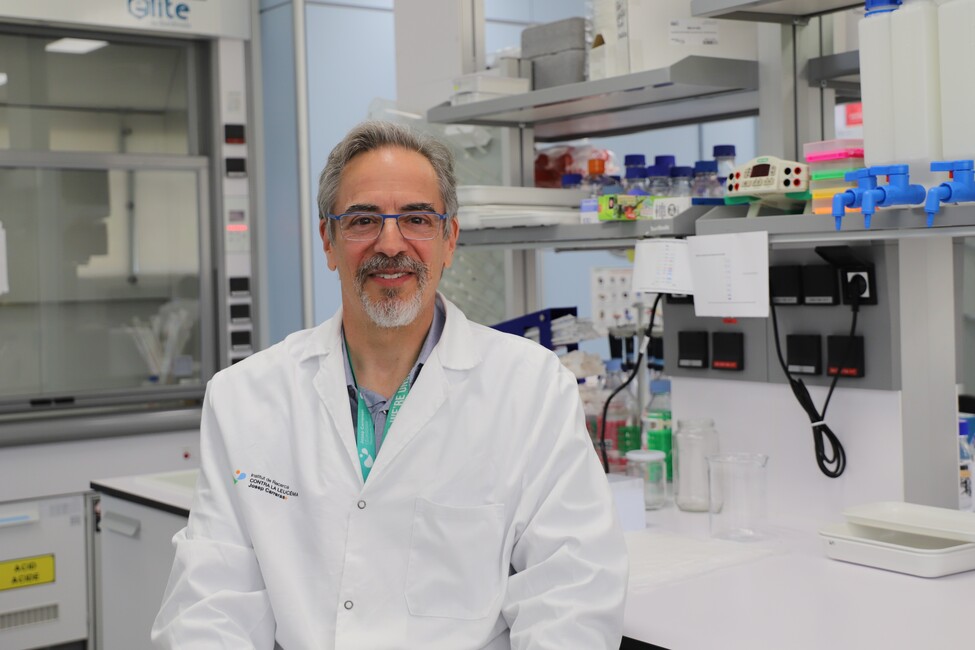 Descubren un subtipo de cáncer de la sangre más letal en mujeres que en hombres y un posible tratamiento dirigido