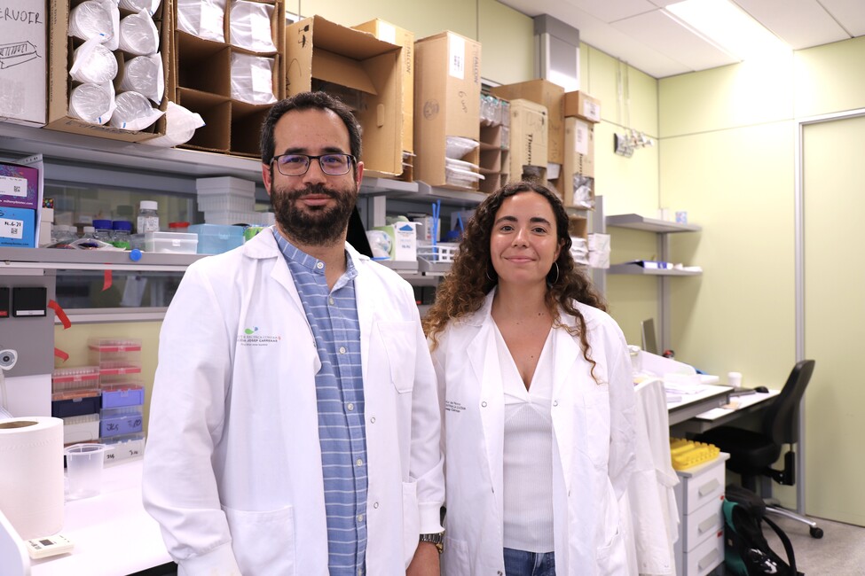 Epigenetics on demand to tackle inflammatory diseases 