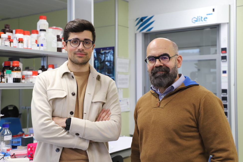 El nou Atles de la Micròglia Humana permet comprendre el paper d'aquestes cèl·lules immunitàries en malalties neurodegeneratives