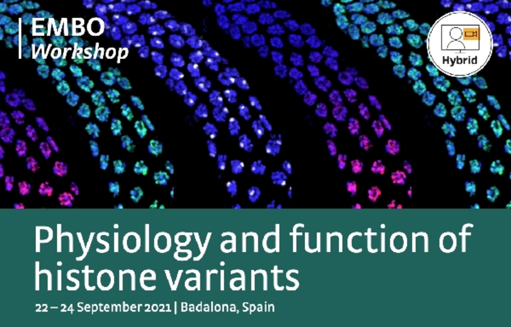 L'Institut de Recerca contra la Leucèmia Josep Carreras organitza el Workshop EMBO: Fisiologia i funció de les variants d'histones