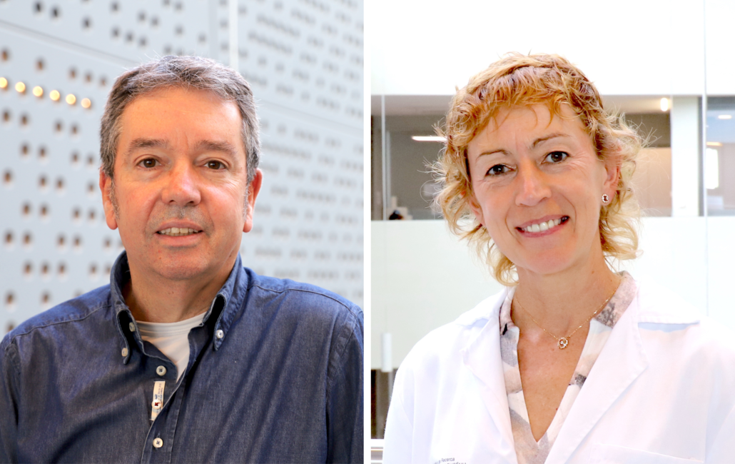 Una nova eina per optimitzar el tractament dels pacients amb síndrome mielodisplàstica