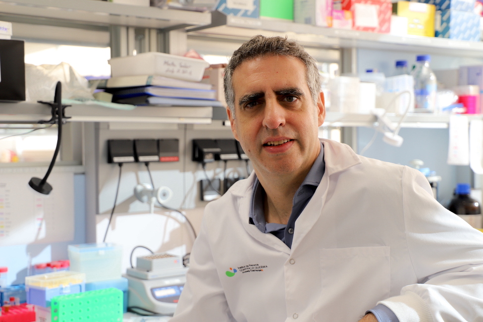 Dos pájaros de un tiro: un análisis bioinformático mejorado puede estimar las variaciones del número de copias genéticas a partir de datos epigenéticos