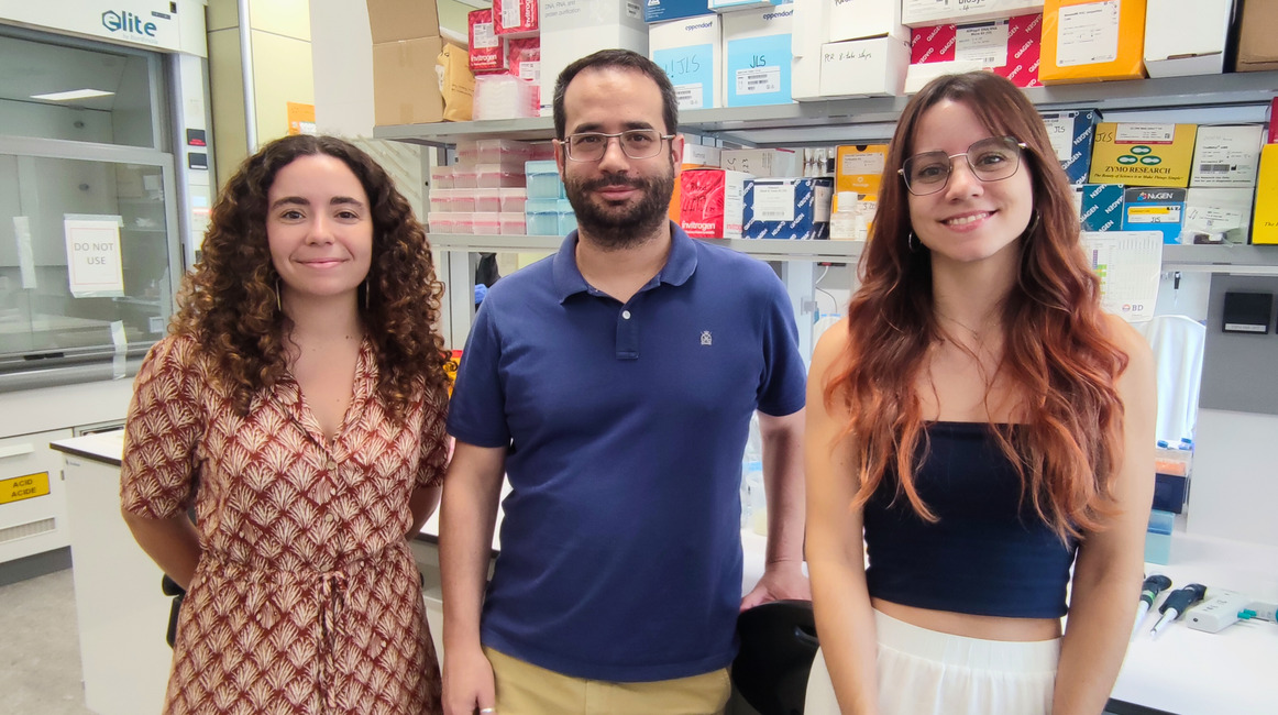El secuestro de ARN sostiene el desarrollo de la leucemia mieloide aguda