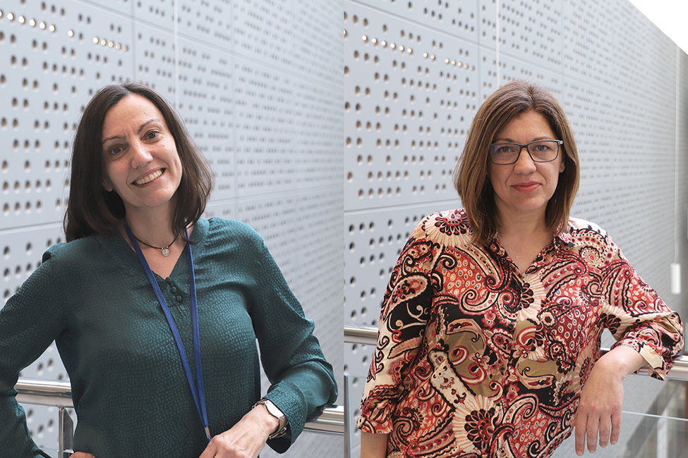Impulso a la valorización y transferencia de conocimiento y tecnología de los proyectos del Instituto de Investigación contra la Leucemia Josep Carreras