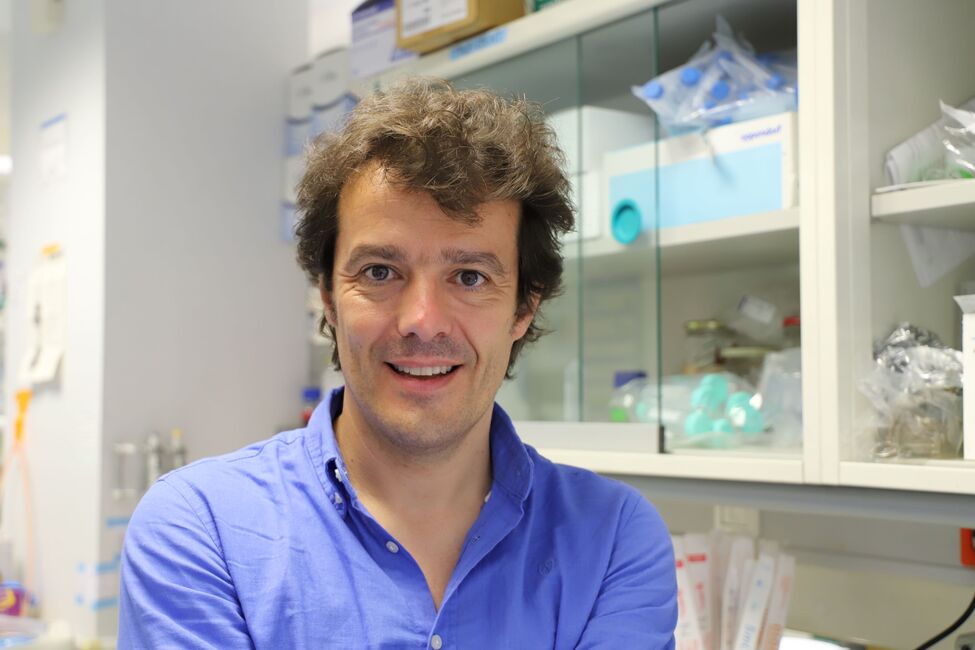 El Dr. Pablo Menéndez, nuevo miembro de la Junta de Directores de la Sociedad Internacional de Hematología Experimental
