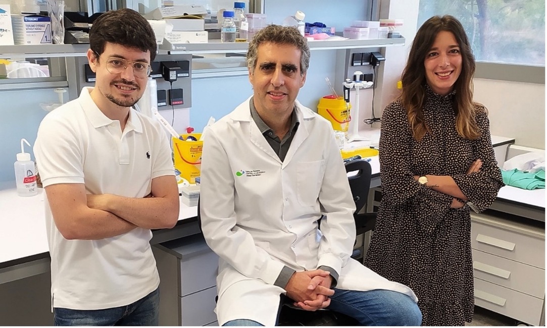 L’epigenètica prediu l’eficàcia del tractament amb limfòcits T contra els càncers de la sang