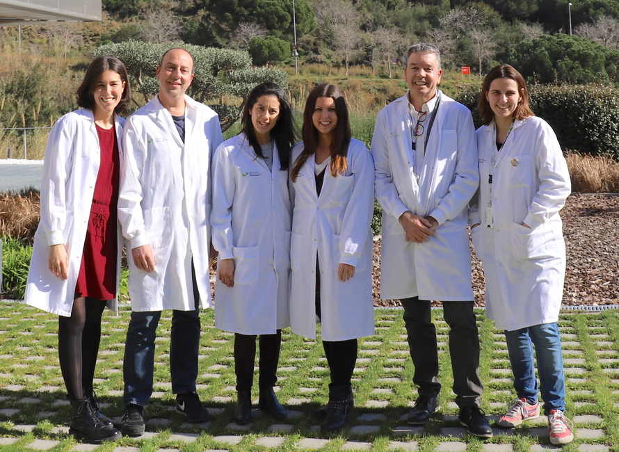 Identifican el impacto de las mutaciones de un gen en la gravedad de un tipo de cáncer hematológico