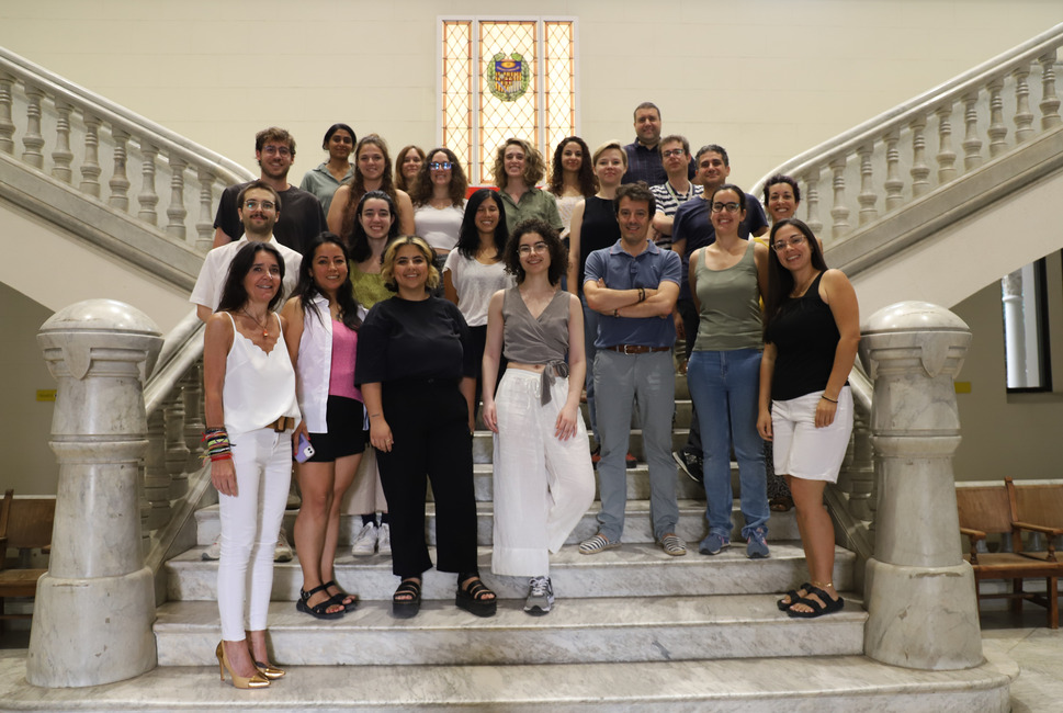 Les cèl·lules sanguínies del cordó umbilical poden crear un millor sistema immunitari humà en ratolins