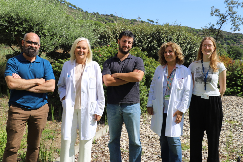 Un nou estudi descobreix una prometedora teràpia combinada per a l'esclerosi múltiple