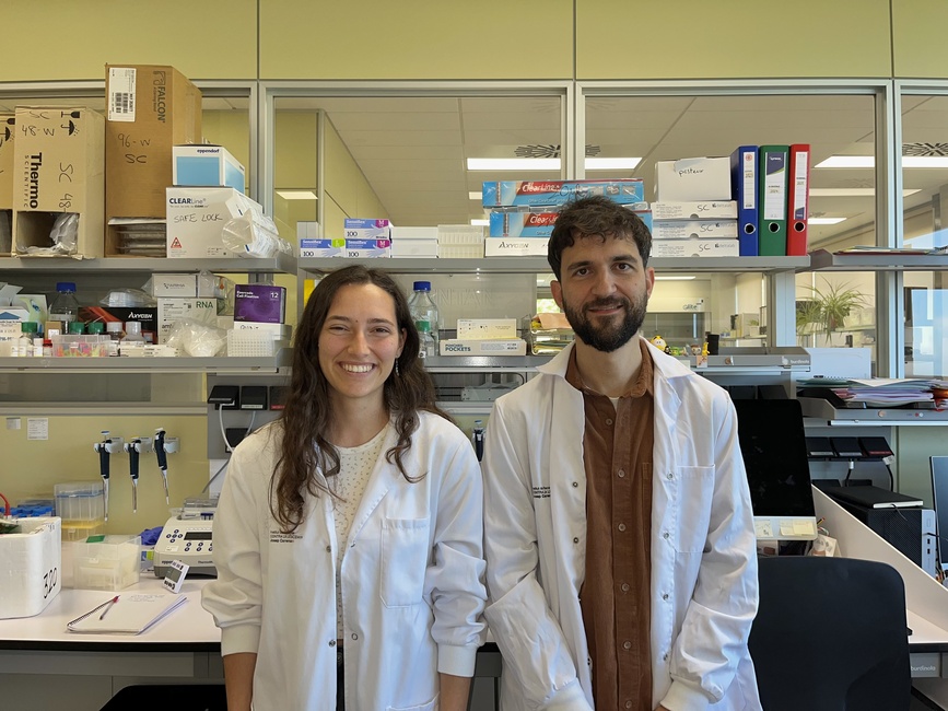 A common alteration in acute myeloid leukaemia helps cancer cells survive and holds the potential for new therapies