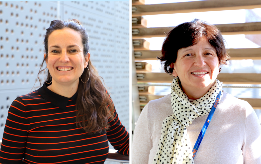 Mariona Graupera y Anna Bigas reciben dos ERC Synergy Grants para fomentar el conocimiento innovador sobre trastornos hematológicos