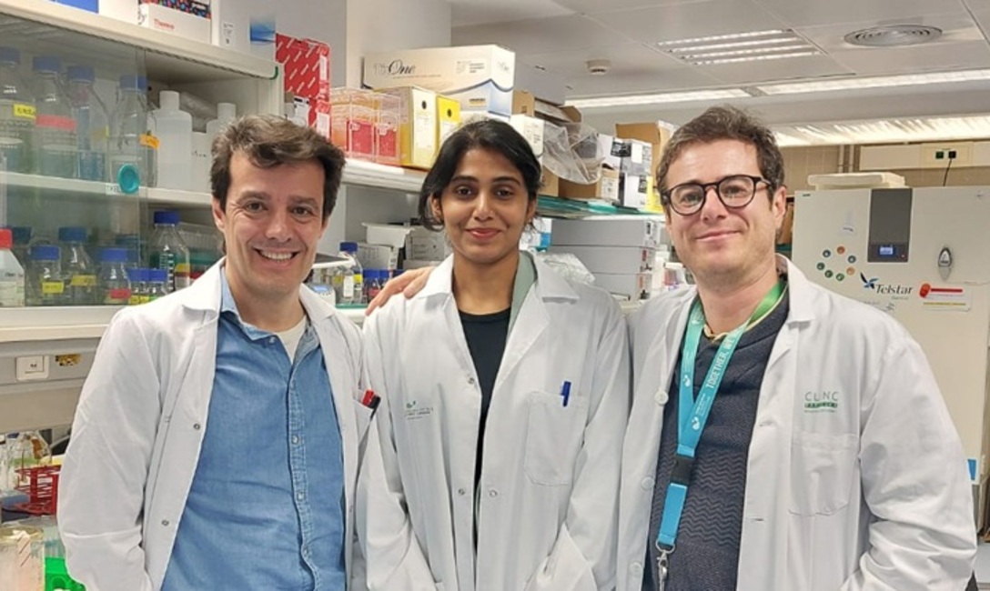 New advances in understanding how the most common form of childhood cancer originates 