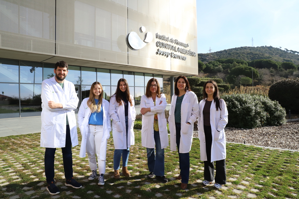 Scientists Identify a “Protective Switch” in the Most Common Blood Cancer, Opening New Doors for Diagnosis and Treatment